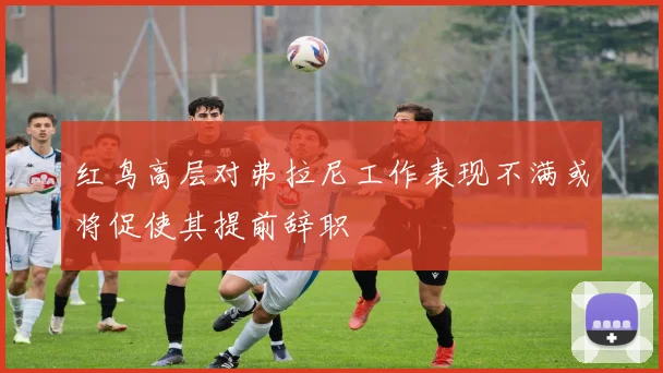 红鸟高层对弗拉尼工作表现不满或将促使其提前辞职